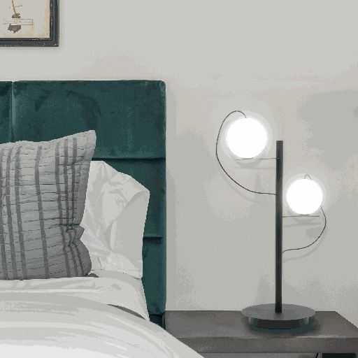 LAMPE DE CHEVET LED 220V L290*120*H535MM ERAY (23W,NOIR+BLANC,3000K)