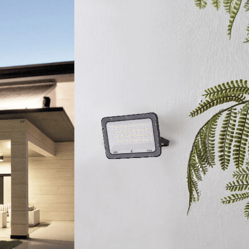 PROJECTEUR LED SMD IP66 220V ALPHA (30W,6500K)