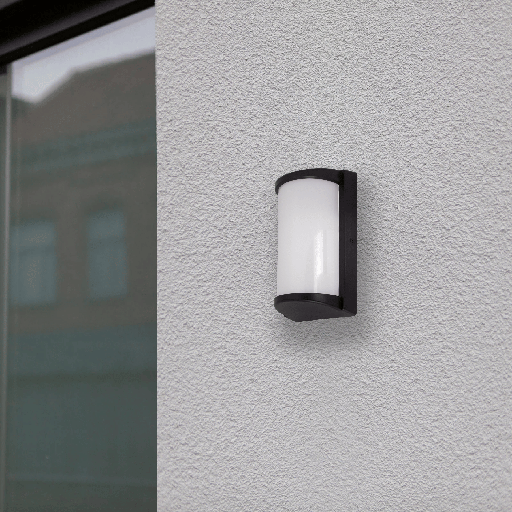 APPLIQUE LED IP65  220V RENALTO (30W,NOIR,4000K)